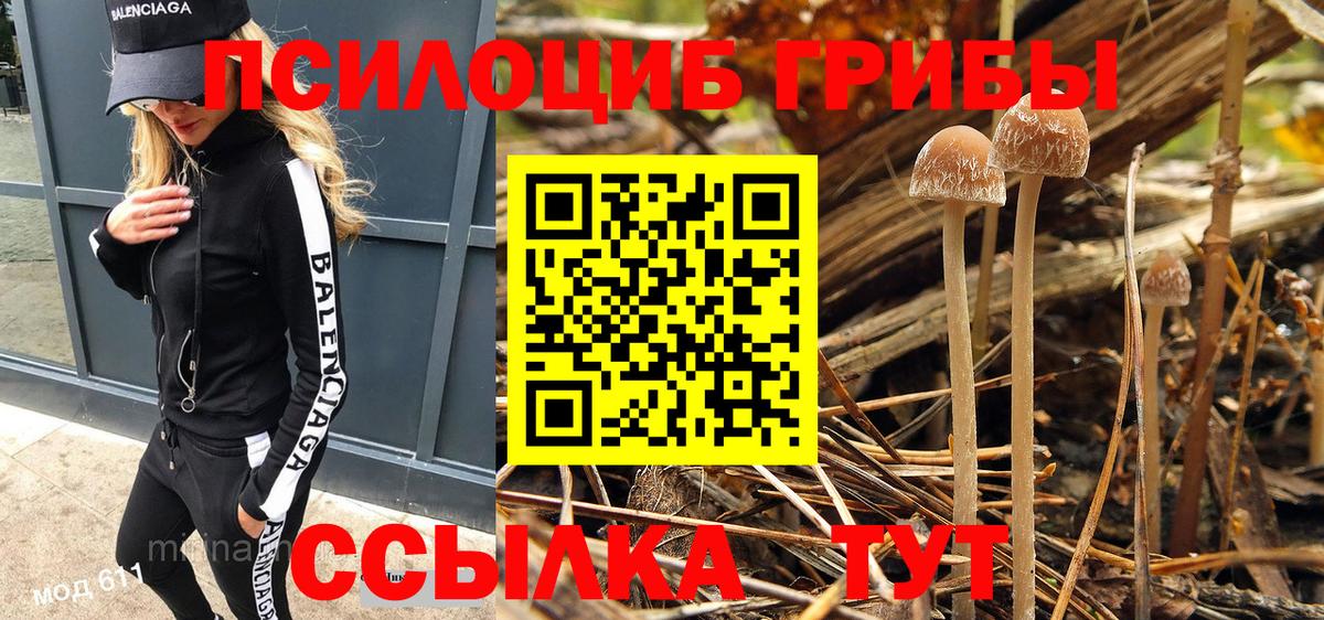 Псилоцибиновые грибы MAGIC MUSHROOMS Саранск